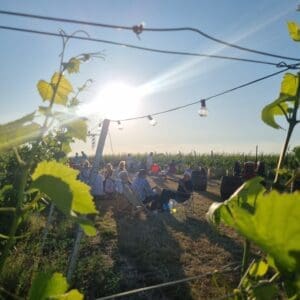 Sip & Savour 6pm Adult Ticket