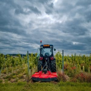 BrecksVineyard9